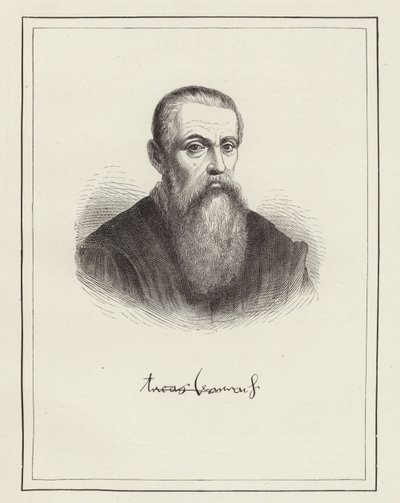 Lucas Cranach de German School