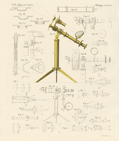 Lupa e diversões microscópicas (gravação a cores) de German School