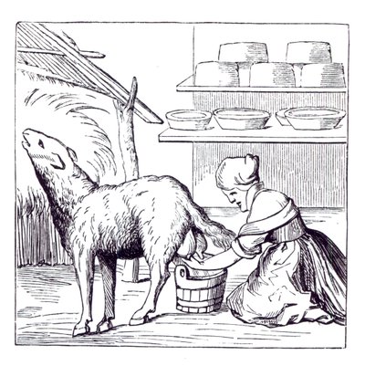 Fabricação de queijos na Suíça, após uma xilogravura na Cosmographie Universelle de Munster, publicado em 1549 de German School