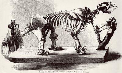 Megatherium Skeleton no Museu Britânico de German School