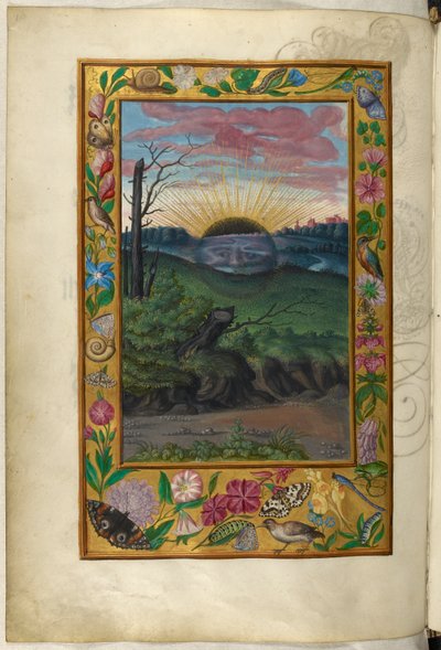 Ms Harley 3469, f.30v The Dark Sun, the Fifth Treatise, de 