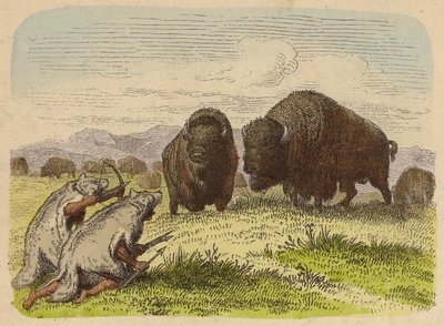 Nativos americanos usando peles de lobo caçando búfalos (gravura colorida) de German School