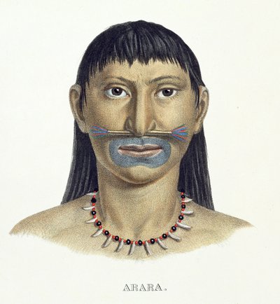 Homem nativo da tribo Arara com pintura de rosto azul, de Atlas of a Journey in Brazil de Johann Baptist von Spix (1781-1826) e Karl Friedrich Philipp Martius (1794-1868), publicado em 1835-50 (cor de German School