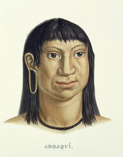Homem nativo da tribo Aroaqui, de Atlas de uma viagem no Brasil por Johann Baptist von Spix (1781-1826) e Karl Friedrich Philipp Martius (1794-1868), publicado em 1835-50 de German School