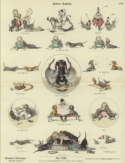 Nossos Dachshunds de German School