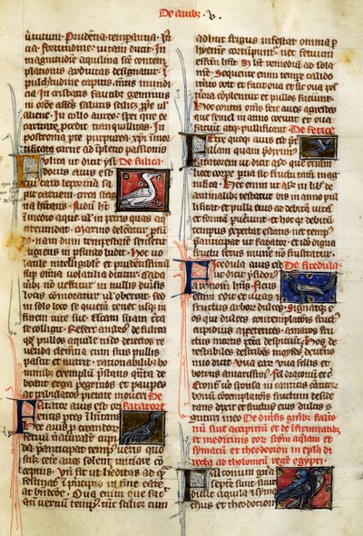 Página do De Natura Rerum sobre aves, de Albertus Magnus (cerca de 1200-1280) de German School