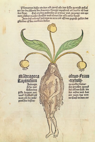 Página de um livro impresso de German School