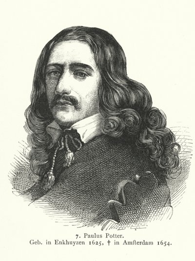 Paulus Potter, pintor da Idade de Ouro holandesa (gravura) de German School