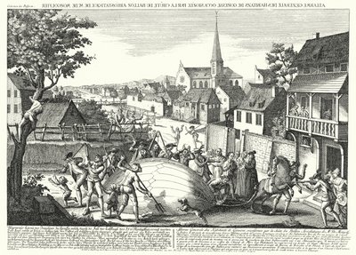 Camponeses atacando o balão de Jacques Charles e os Irmãos Robert depois de este ter descido em Gonesse, 27 de Agosto de 1783 (gravura) de German School