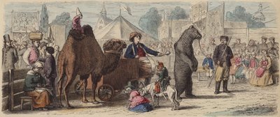 Grupo de animais na Alemanha (gravura a cores) de German School