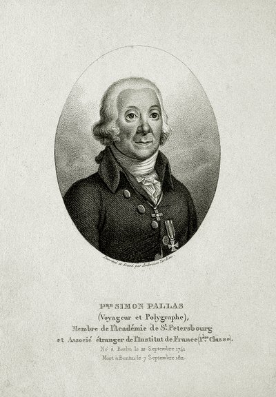 Peter Simon Pallas. (1741 - 1811) (Gravação em linha) de German School
