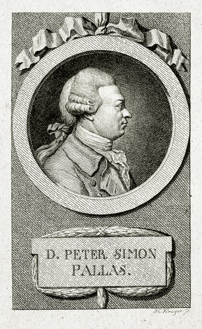 Peter Simon Pallas. (1741 - 1811) (Gravação em linha) de German School