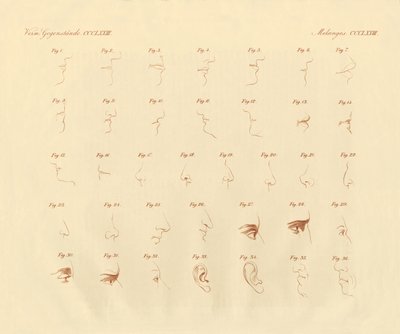 Expressão fisiotómica do órgão dos sentidos e das partes ligadas (gravura colorida) de German School