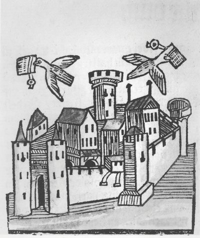 Columbofilia de German School