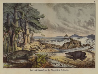 Plantas e animais do Período Triássico na Alemanha (cor litho) de German School