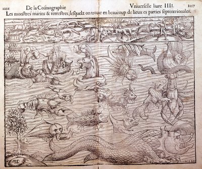 Placa representando todos os tipos de monstros marinhos e terrestres encontrados nas regiões setentrionais: Xilografia tirada da Cosmografia Universal de Sebastien Munster. Bale de German School