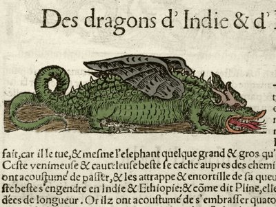 Representação de um dragão da Índia. Xilografia tirada da Cosmografia Universal de Sebastien Munster. Bale de German School