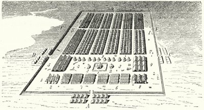 Campo do exército romano (gravura) de German School