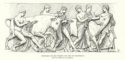 Animais de sacrifício na procissão grega antiga do Panathenaia (gravura) de German School