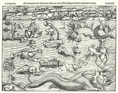 Criaturas marinhas (gravura) de German School