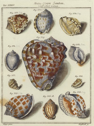 Cartuchos de German School
