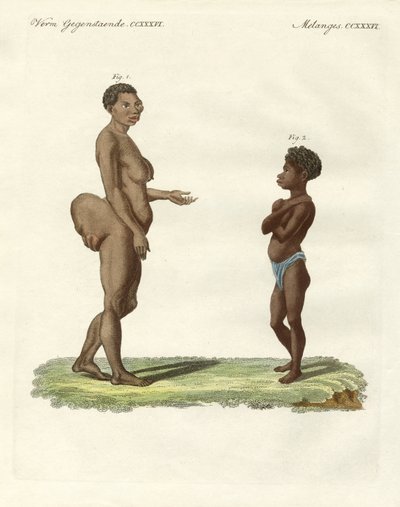 Variedades humanas estranhas (gravura colorida) de German School