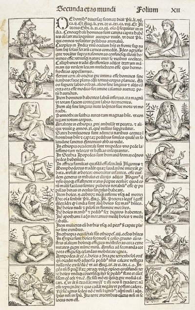 "Pessoas e criaturas estranhas", ilustração de "Liber chronicarum". Registrum hujus operis libri cronicarum...
