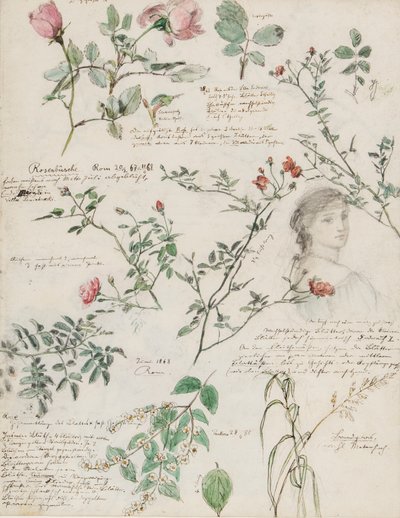 Estudos de plantas e figuras feitos em Roma e Pankow, Berlim de German School