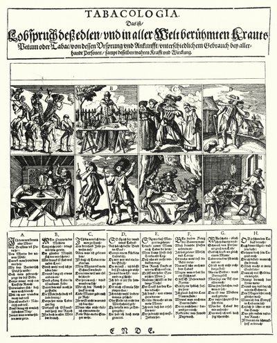 Tabacologia (gravura) de German School