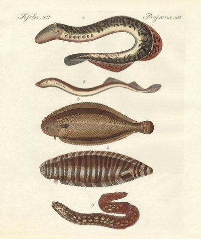 Saboroso peixe de German School