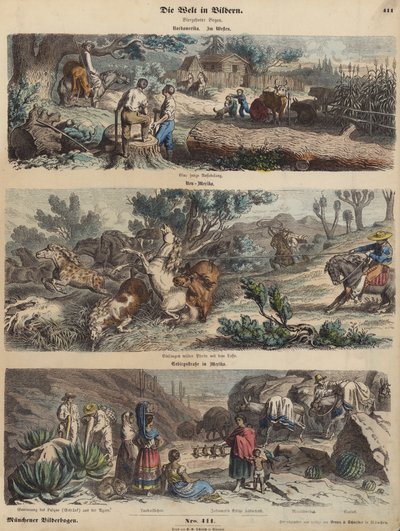 O Oeste Americano: um novo povoado; cavalos selvagens em lasso no Novo México; uma estrada de montanha no México (gravura colorida) de German School
