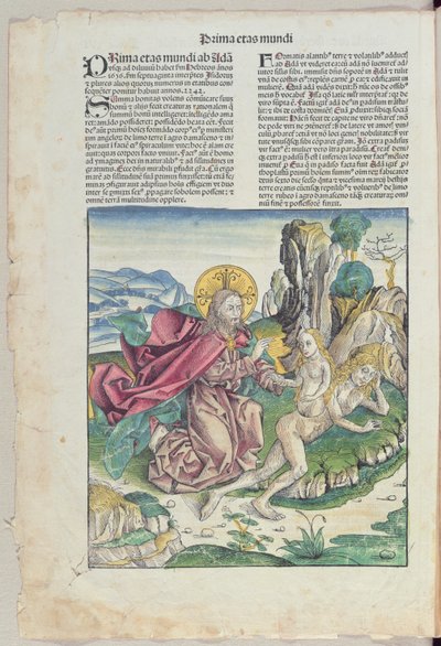 O nascimento de Eva, de &39;Liber Chronicarum&39; por Hartmann Schedel (1440-1514) 1493 (cor xilogravura) de German School