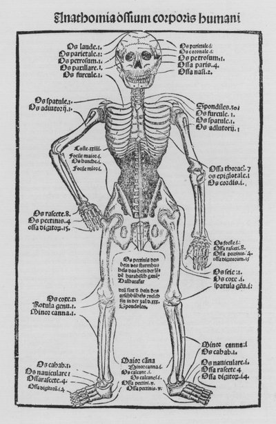 O Livro da Cirurgia de Hieronymus Brunschwig de German School
