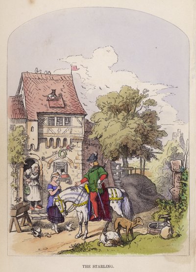 O Estorninho (cor litho) de German School