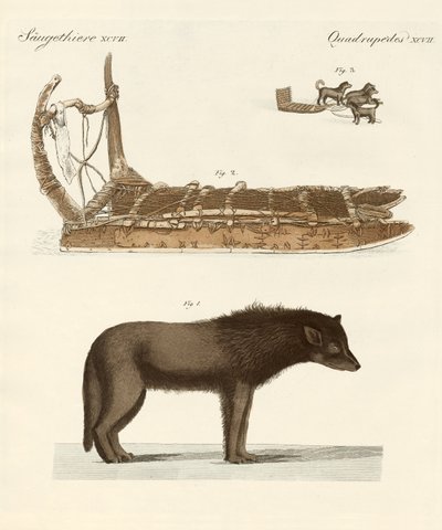 O cão da Baffin-Bay (gravura colorida) de German School