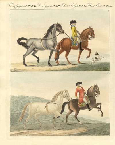 O cavalo com os seus diferentes tipos (gravura colorida) de German School