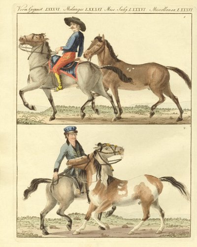 O cavalo com os seus diferentes tipos (gravura colorida) de German School
