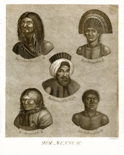 O humano (gravura colorida) de German School