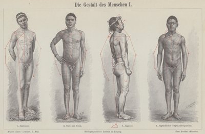 A figura humana (gravura) de German School