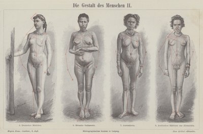 A figura humana (gravura) de German School