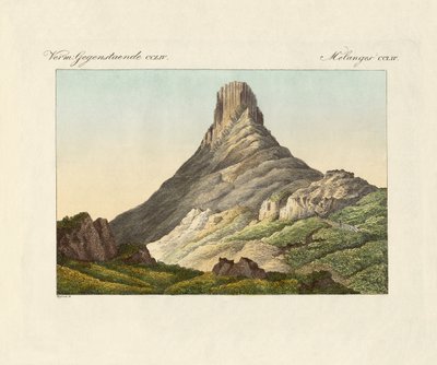 O skuir na Ilha dos Ovos (gravura colorida) de German School