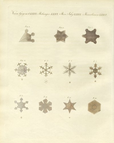 A neve com as suas cristalizações (gravura colorida) de German School