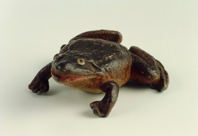 Sapo (chumbo) de German School