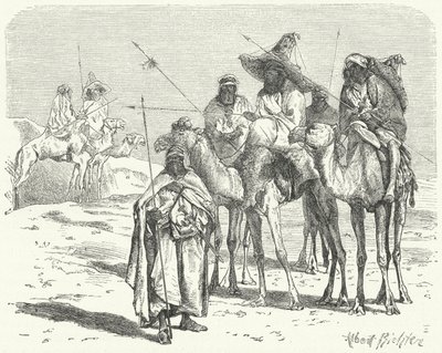 Tuaregs (gravura) de German School