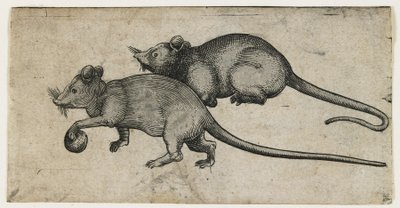Dois ratos, 1450-80 (gravação com tinta a jato) de German School