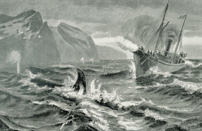 Usando um arpão de um barco a vapor rápido de German School