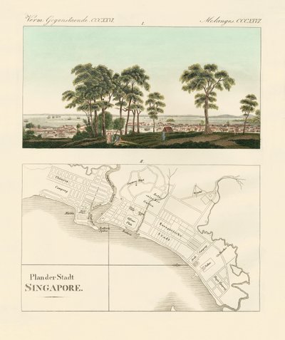 Vista e mapa do estabelecimento das Índias Orientais em Singapura (gravura a cores) de German School