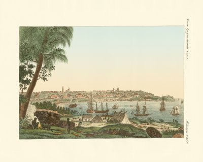 Vistas da cidade de Sydney (gravura colorida) de German School
