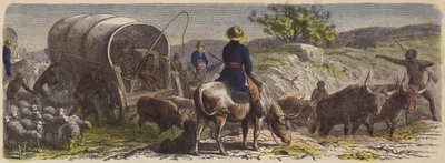 Comboio de vagões na África do Sul (gravação colorida) de German School