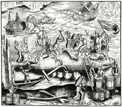 Baleia-pesca, depois de uma xilogravura na Cosmographie Universelle de Munster, publicou 1552 de German School